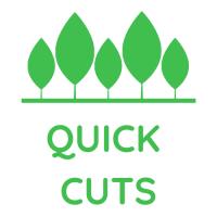 Quick Cuts Lawn Care Arlington TX image 1